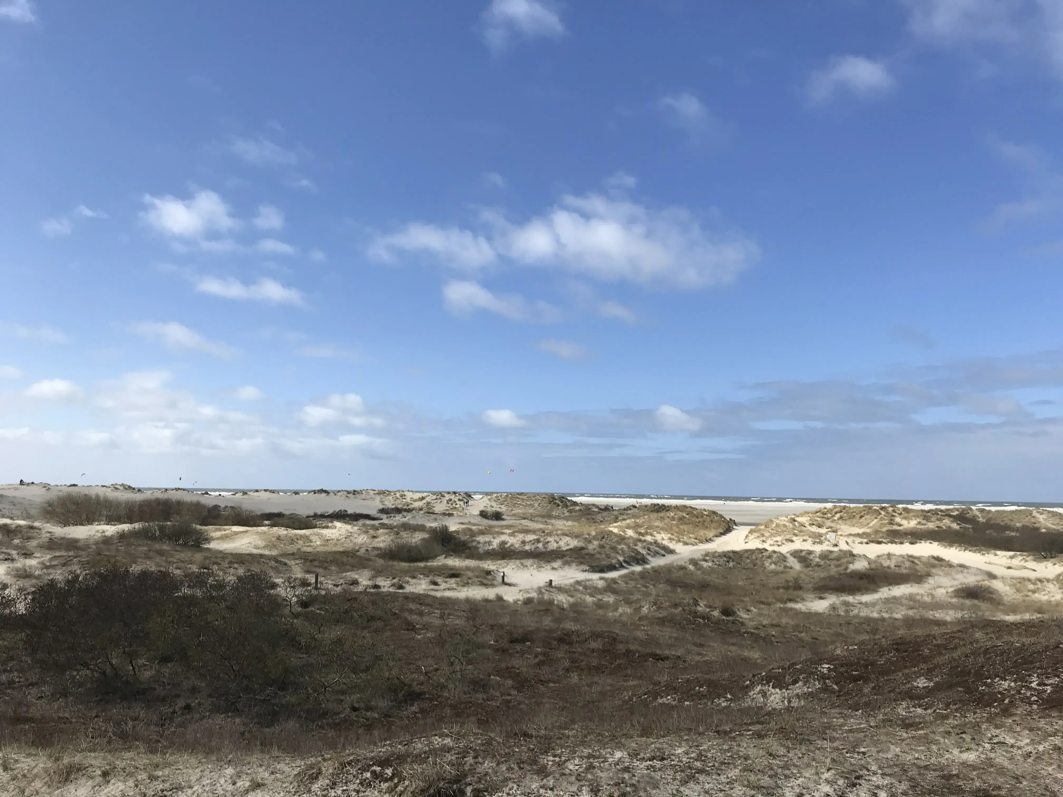 Strand auf Borkum